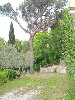 Casa La Pigna - 5