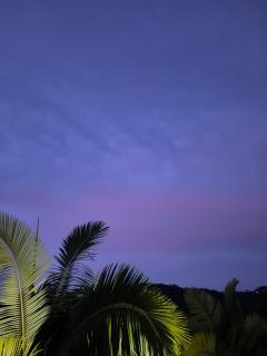 Finca en Vergara "Prado Alto" - 5