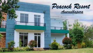 Peacock Resort - 9