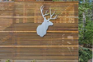 Mule Deer - Luxury Mount Hood Chalet - 4