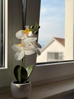 Easy Stay Zadar - 4