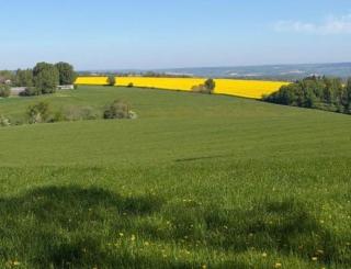 La côte du Muret - 7