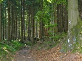 Ferienhaus in Altenfeld Thüringen mit Garten - 2