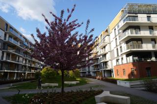 Blue Sky Cozy Apartment Free Parking by Good Mood - 3
