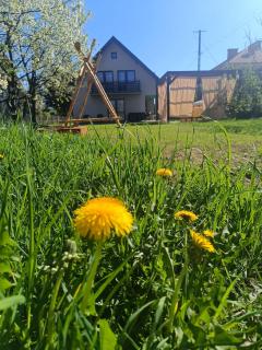 Willa Andzia Guest House - 1