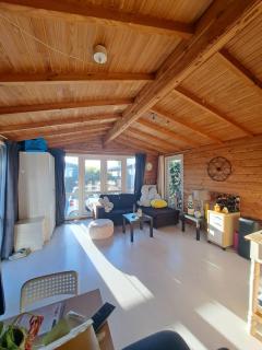 Wooden house near Amsterdam - 5