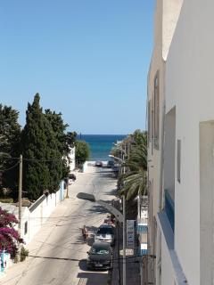 La tulipe d'Hammamet - 1