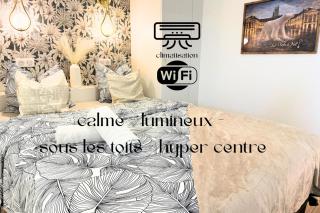Petite Merveille sous les toits - 0