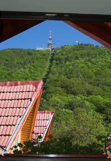 StayNATURAL Brasov Center - 9