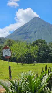 Flora Glamping de Abuela - 1