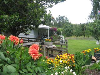 Miranda Orchard Cottage - Miranda - 7