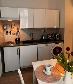 Cozy Studio in Prague Center near Wenceslas Square - 6