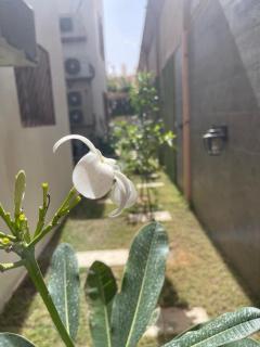 دار ناصر - 4