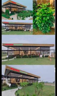 Orchid resort - 3