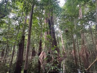 PousadafaroldoRionegro - 1