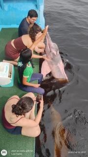 PousadafaroldoRionegro - 3