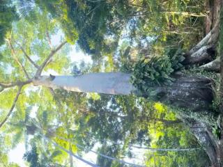 PousadafaroldoRionegro - 5