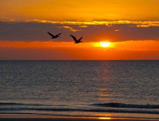 Coastal Sun Retreat - 7