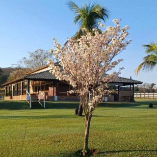 Fazenda Bonança - O Seu Resort Particular - 7