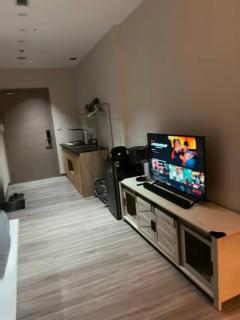 VHE Sky Forest Ecopark - Best Luxury Homestay Near Ha Noi Capital - 1
