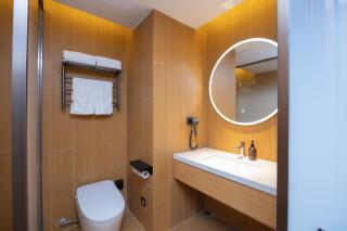 JI Hotel Shenzhen Pingshan Railway Station Baolong Metro Station - 6