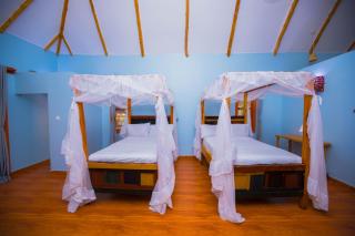 Tembo Tarangire Lodge & Camp - 8