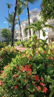 Punta Cana Lounge Beach Pool I - 8