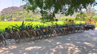 Tam Coc Sunshine Homestay - 8