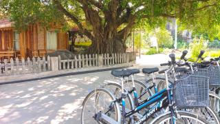 Tam Coc Sunshine Homestay - 3