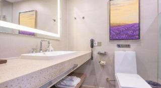 Lavande Hotel Shijiazhuang Museum Branch - 6