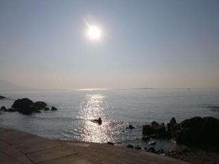 7 Days Premium Qingdao World of Ocean Qingdao University - 3