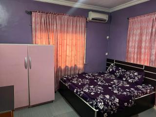 Electra Serviced 2 Bedroom Apartment, Lagos - 0