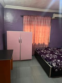 Electra Serviced 2 Bedroom Apartment, Lagos - 9