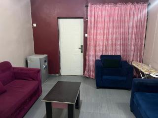 Electra Serviced 2 Bedroom Apartment, Lagos - 6
