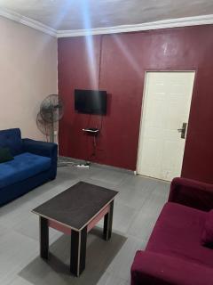 Electra Serviced 2 Bedroom Apartment, Lagos - 4