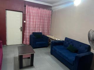 Electra Serviced 2 Bedroom Apartment, Lagos - 5