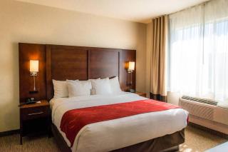 Comfort Suites Springfield-Eugene - Springfield - 7