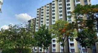 DLUXX THAMMASAT - 4