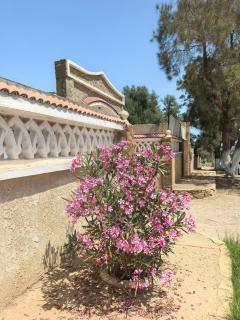 Villa Noor - 4