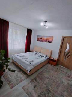 Nicoleta Apartment - 2