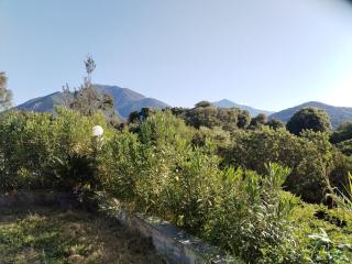 maison de rêve dans un écrin de verdure au calme - 6