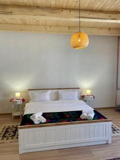 Casa de Vacanta Crit 168 - 2