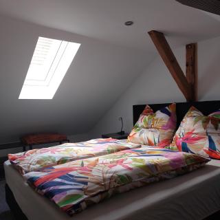 Ferienwohnung Pfalz - Deutsche Weinstraße - 7