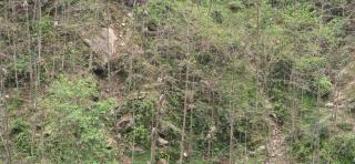 Rajkamal Guest House - 8