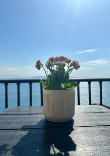 Aegean Blue Horizon - 8