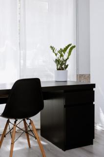 Wunderschönes Studio im P-Berg mit Pkw Stellplatz optional Buchbar - 6