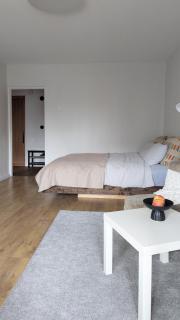 Light & Roomy Apartment with Separate Kitchen & Free Bike - 9