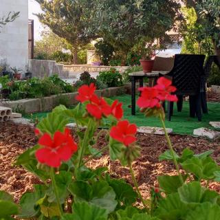 luxury house - 5