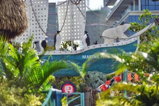Beluga Sanya Discovery Ocean World - 1