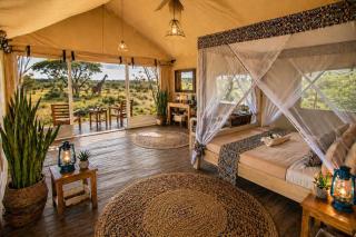 Africa Safari Serengeti Kogatende - 4